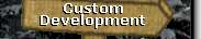 Custom Development